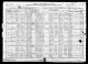 Amerikansk folketælling 1920